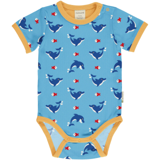 Body Maxomorra - Dolphin 50/56